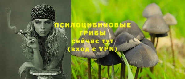 гидропоника Армянск