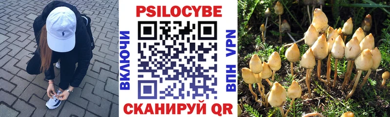 Галлюциногенные грибы прущие грибы  hydra   Почеп 
