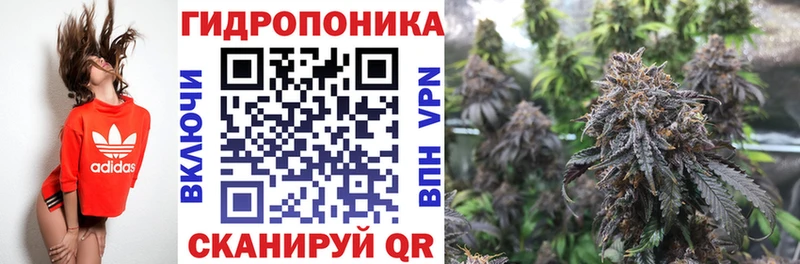 Конопля индика  продажа наркотиков  кракен ТОР  Почеп 